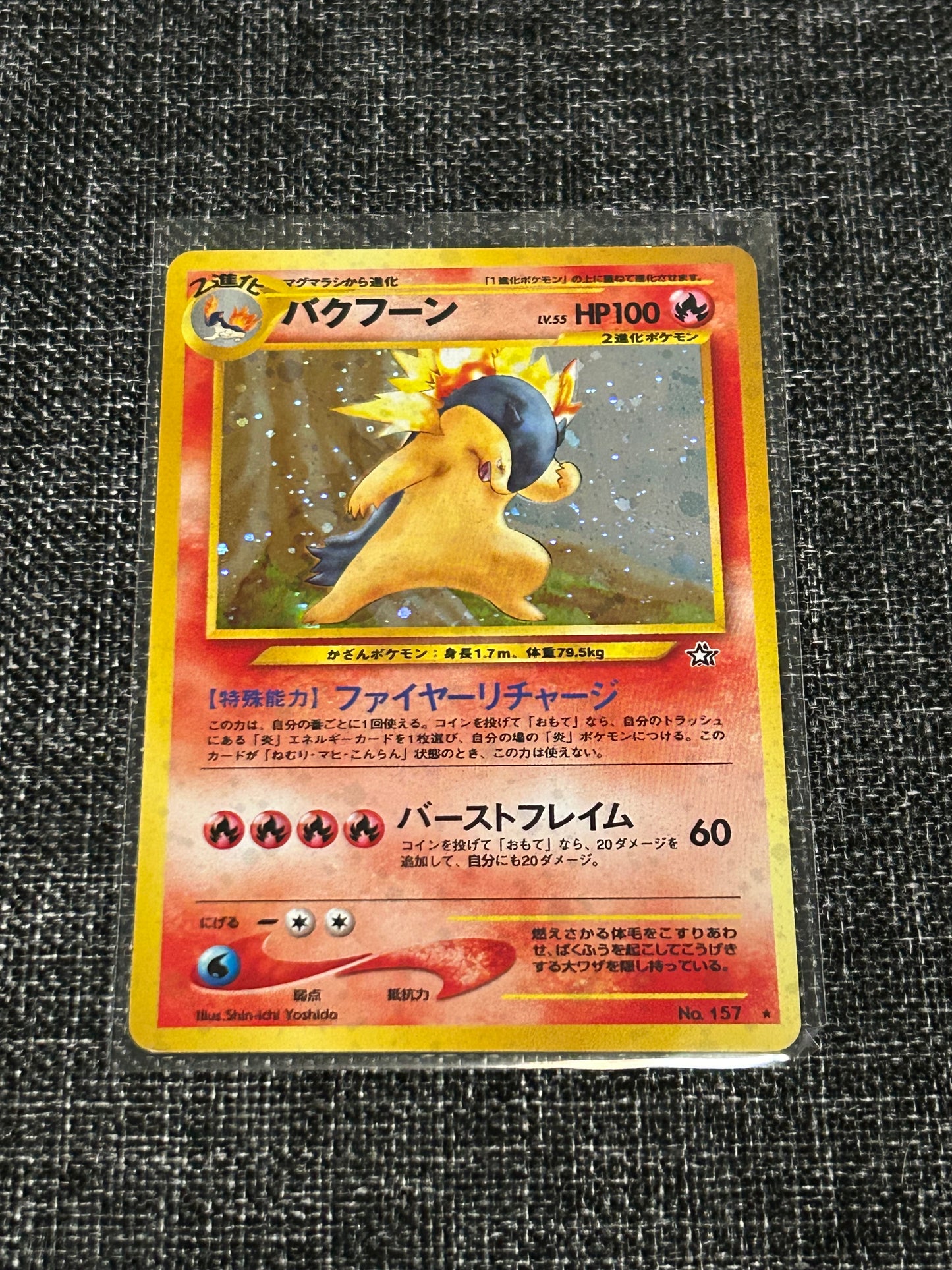 Typhlosion - Gold, Silver, to a New World Japanese