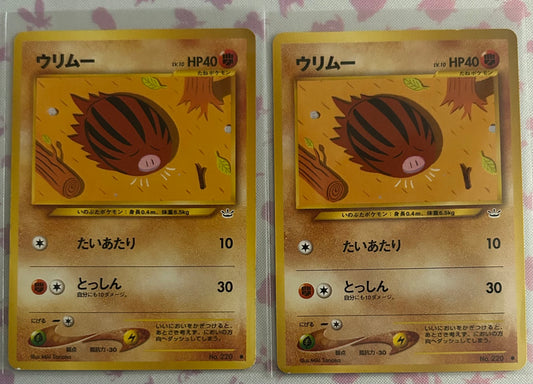 2 Swinub - Awakening Legends