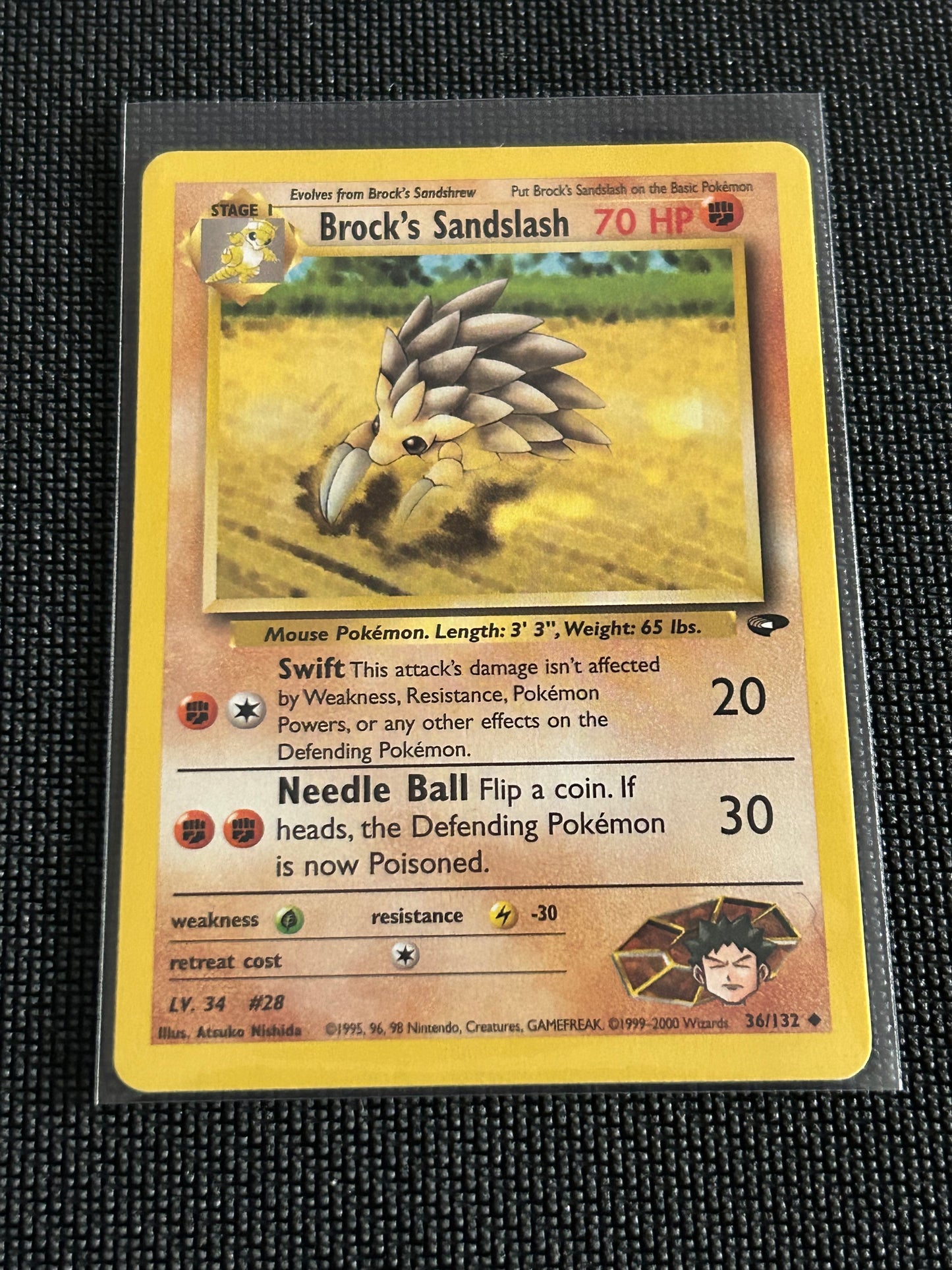 Brock’s Sandlash - Gym Challenge (G2) MP