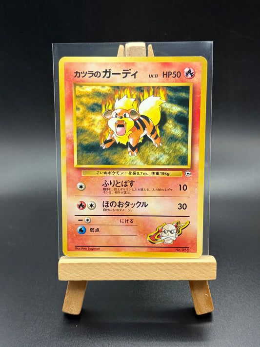 Blaine’s Growlithe (lvl.17)- Japanese