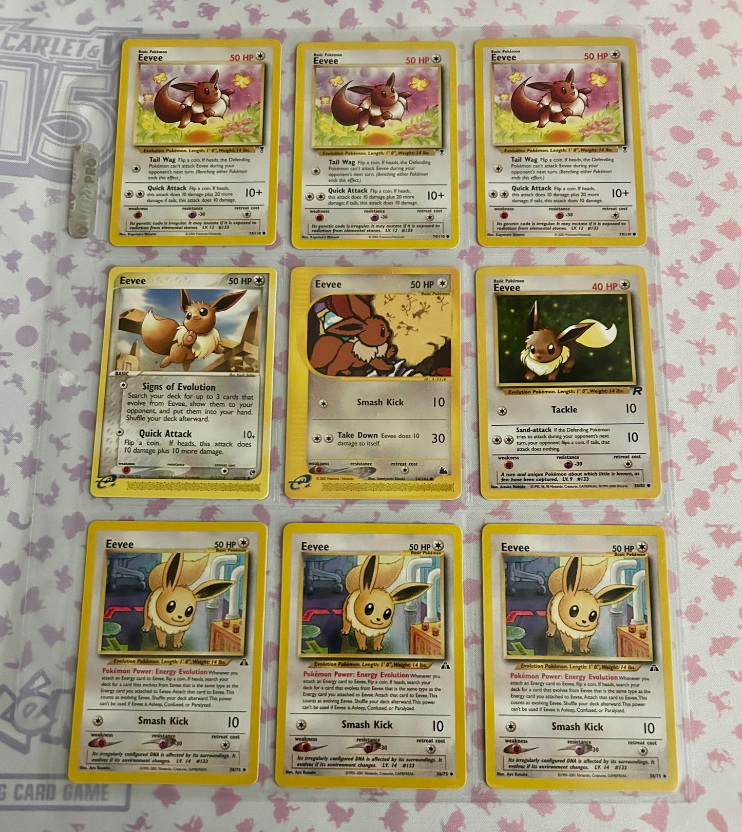 9 Card Eevee Collection