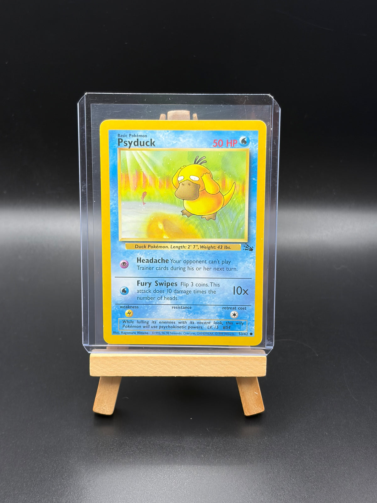 Two Psyduck (53) - Fossil (FO) LP