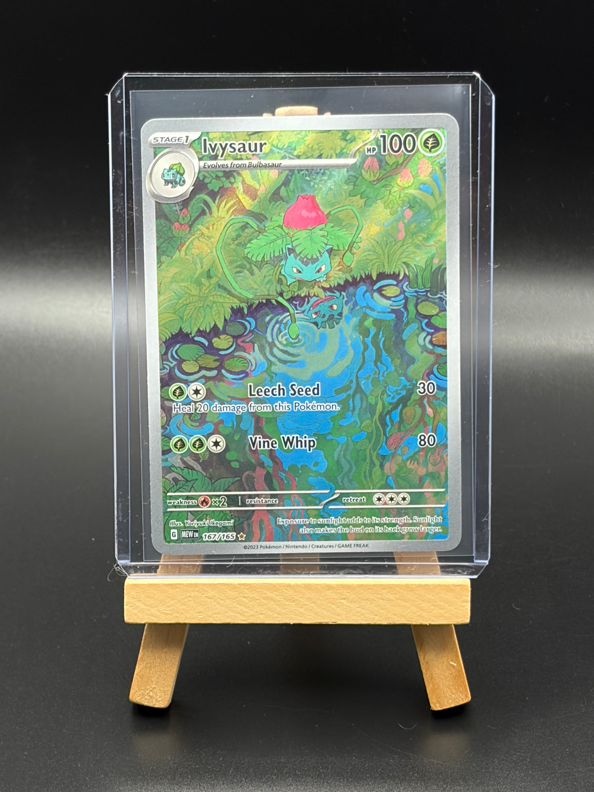 Ivysaur- 167/165 - SV: Scarlet & Violet 151 (MEW) LP