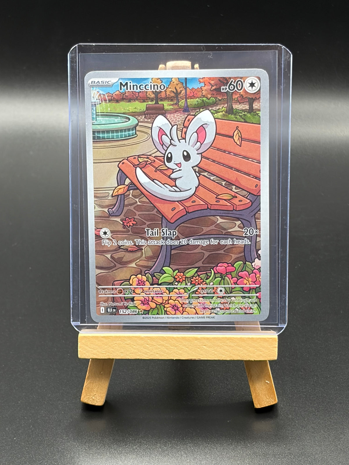 Minccino-152/086 Black Bolt Illustration Rare LP