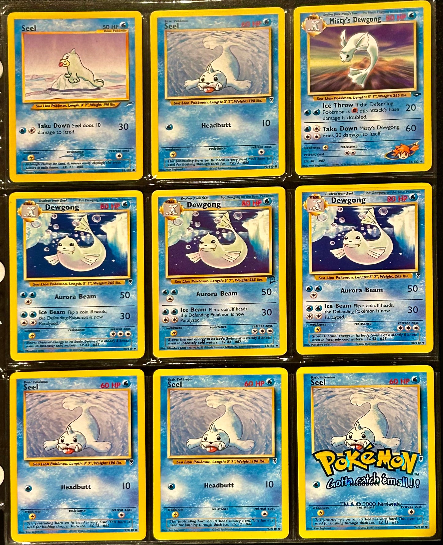 9 Card Seel Evolution Collection