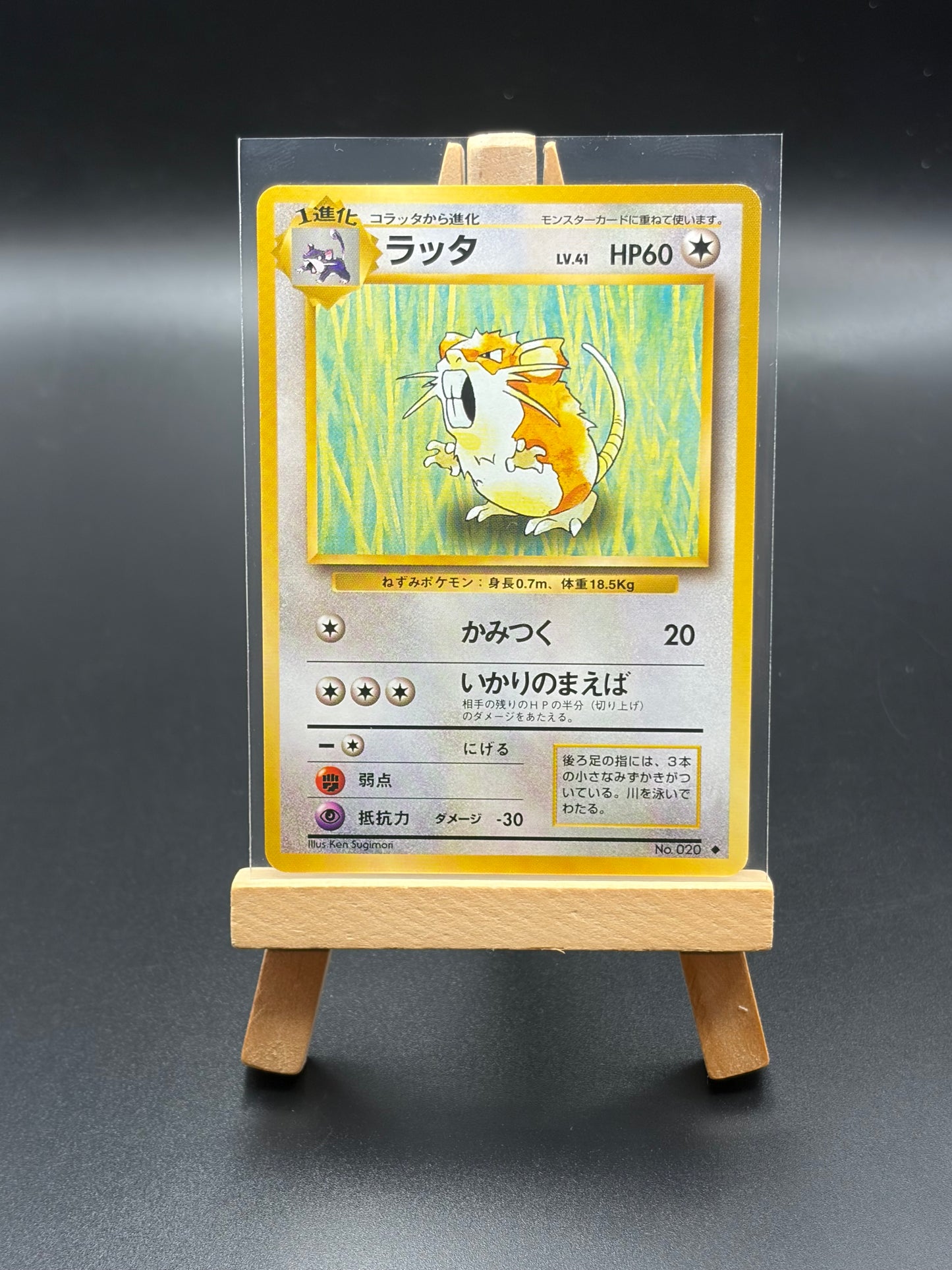 Raticate Expansion Pack Japanese NM