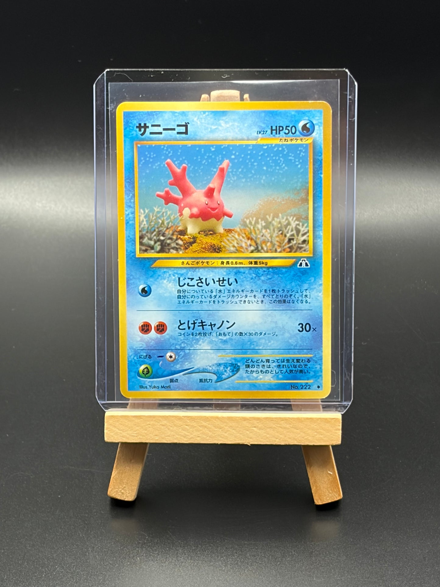 Corsola - Crossing the Ruins Japanese LP