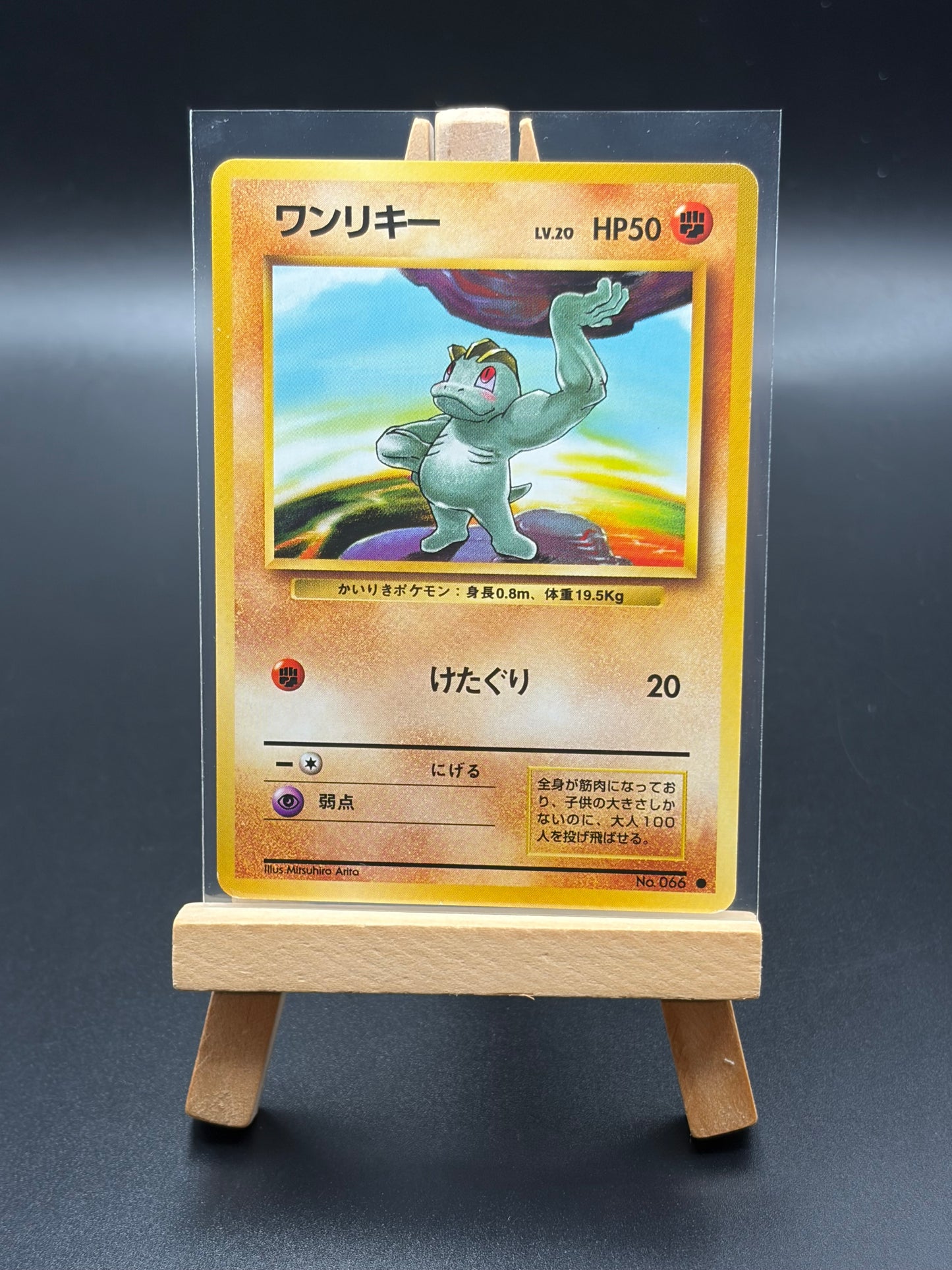 20 card Pokemon Japanese Card Lot NM-LP